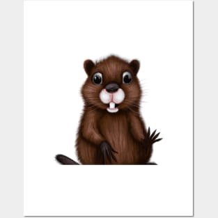 Cute Beaver Drawing Posters and Art